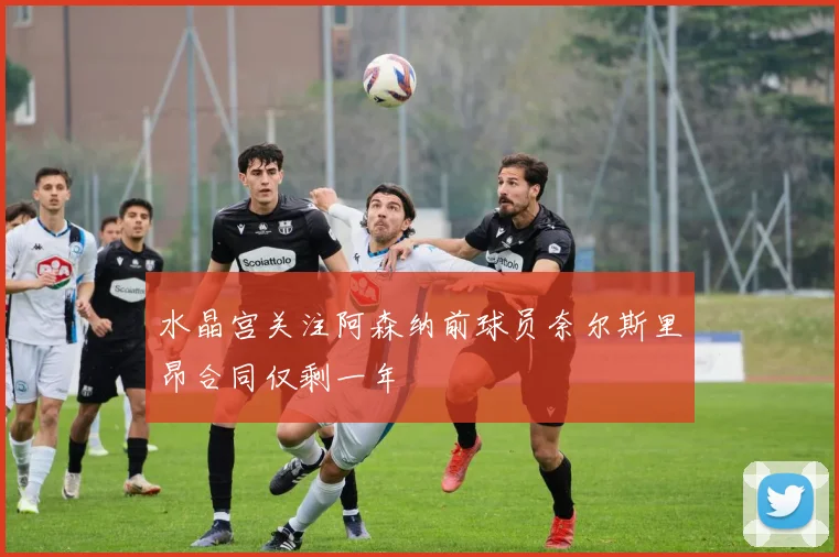 水晶宫关注阿森纳前球员奈尔斯里昂合同仅剩一年